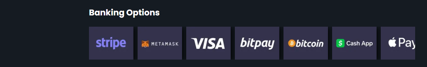 De strook "Banking Options" op rocky.casino: een rij betaallogo's zonder enige tekst onder de kop